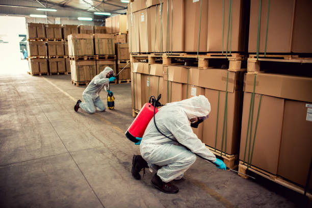 Best Ant Control Services  in Martins Ferry, OH