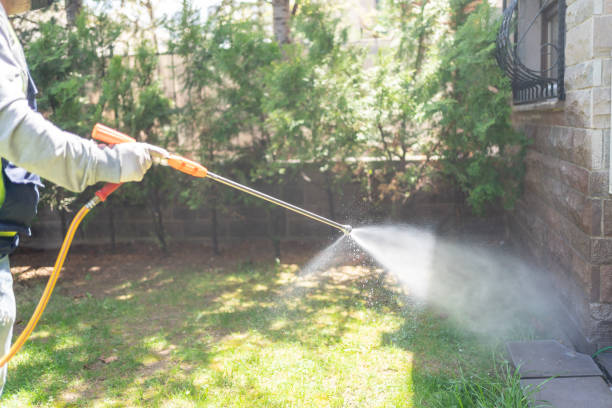 Best Best Pest Control Companies  in Martins Ferry, OH