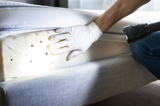 Best Mosquito Control Services  in Martins Ferry, OH