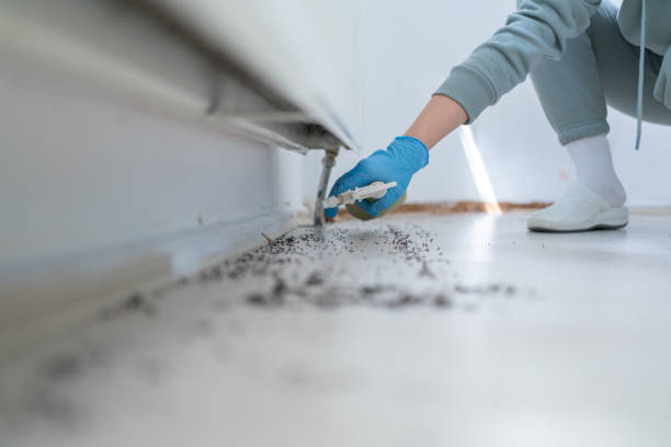 Best Commercial Pest Control Services  in Martins Ferry, OH