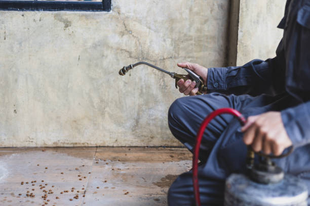 Best Best Pest Control Companies  in Martins Ferry, OH